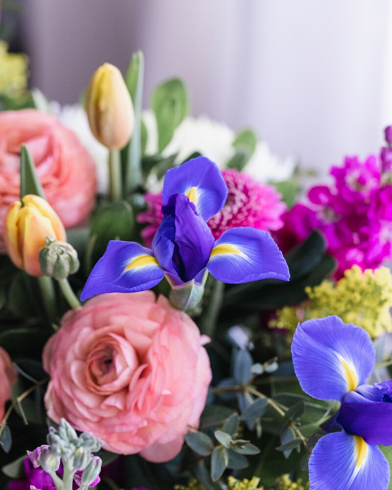 Beautiful Seasonal Flowers Banner